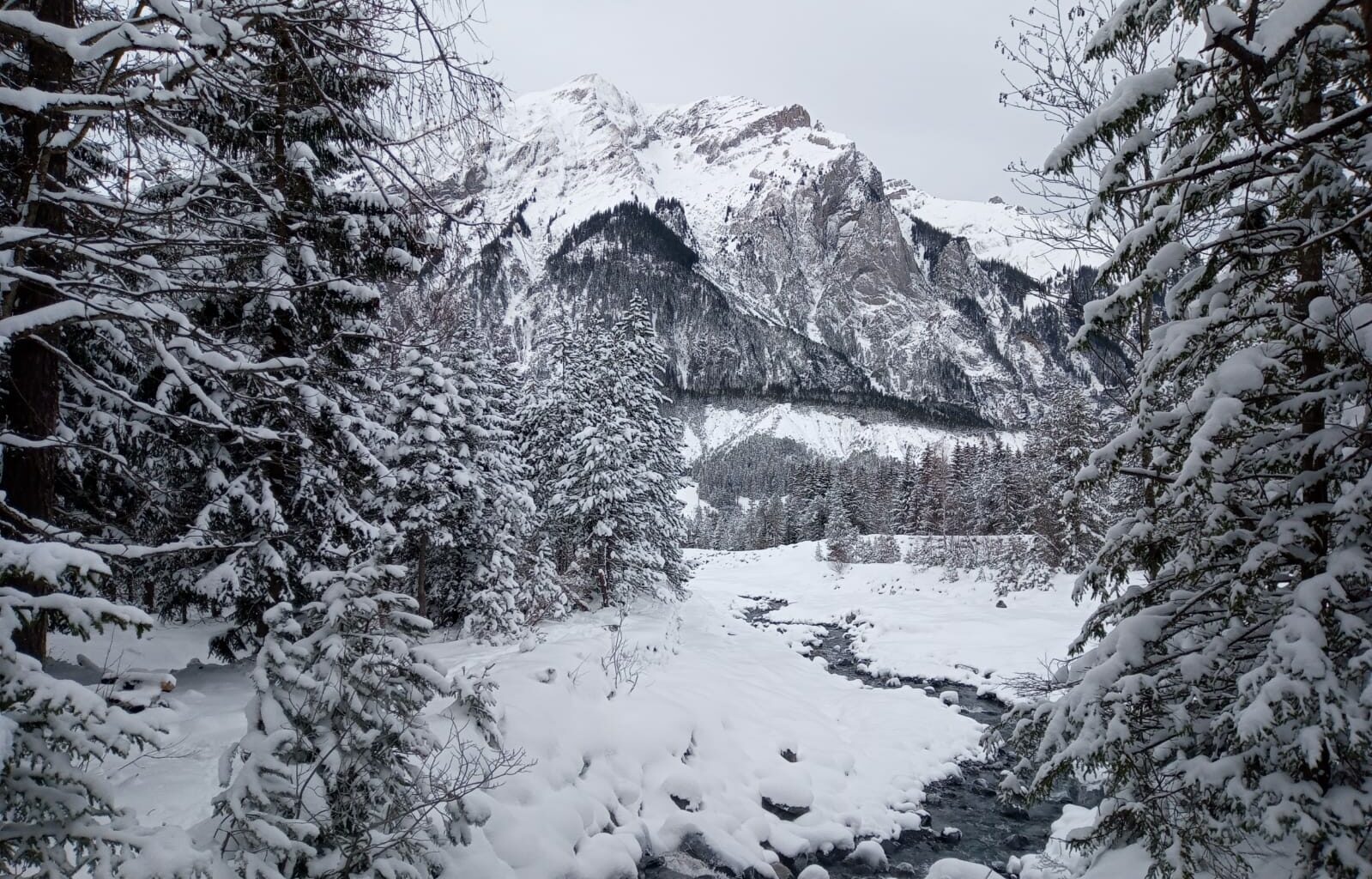 Berge und Schnee